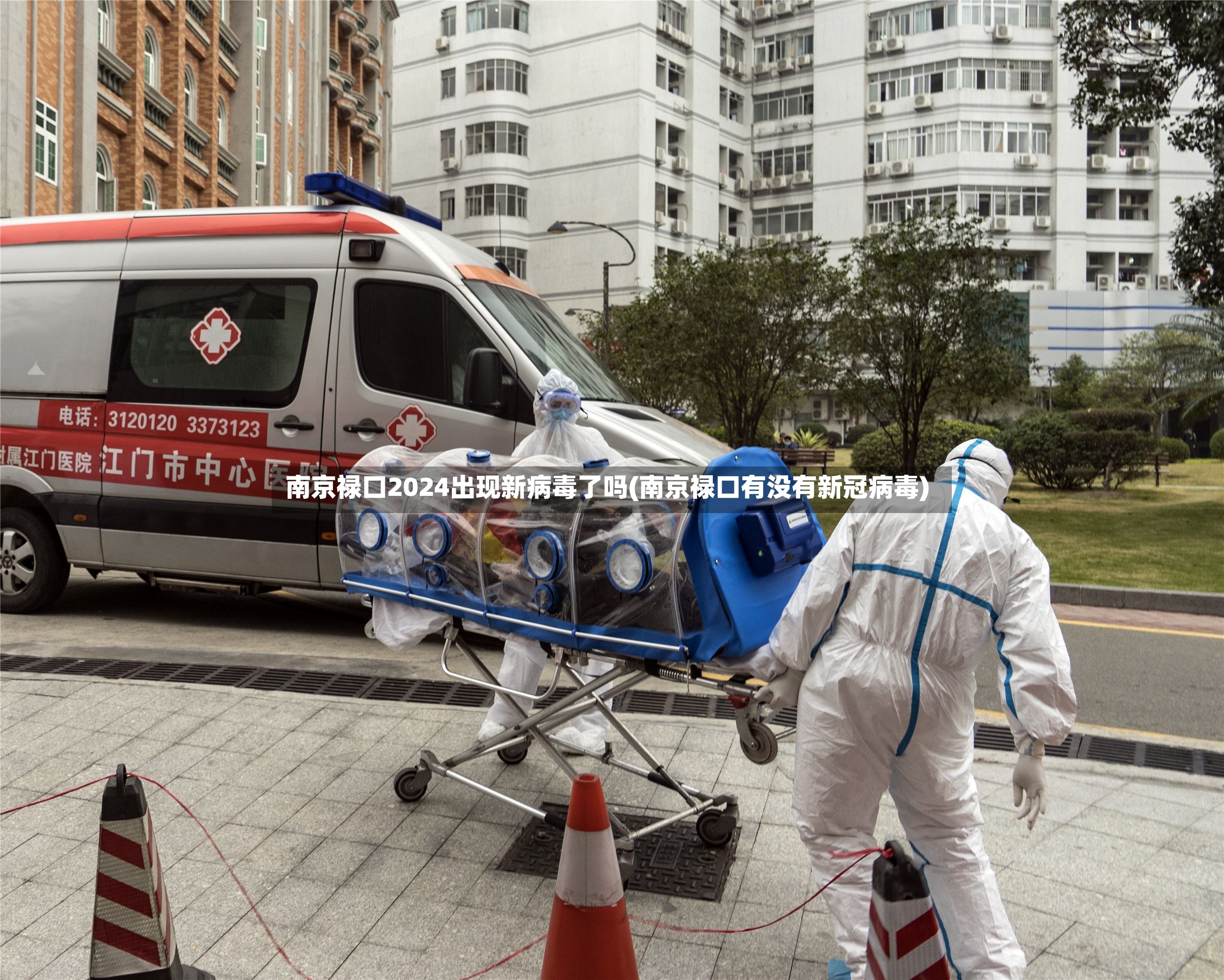 南京禄口2024出现新病毒了吗(南京禄口有没有新冠病毒)-第3张图片
