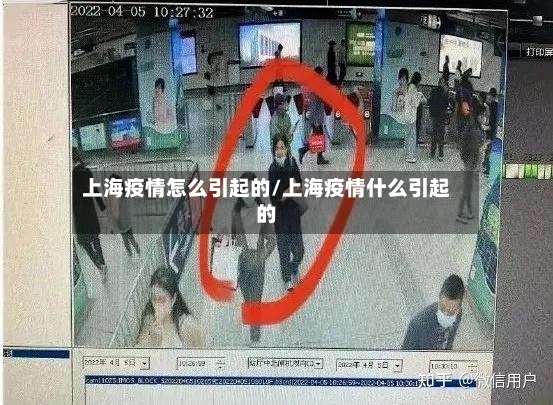 上海疫情怎么引起的/上海疫情什么引起的