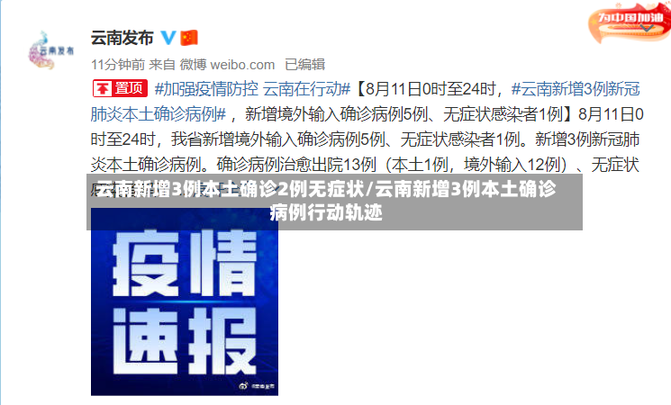 云南新增3例本土确诊2例无症状/云南新增3例本土确诊病例行动轨迹-第2张图片