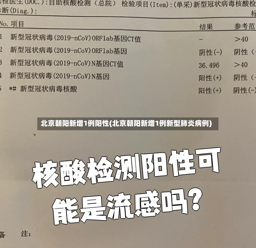 北京朝阳新增1例阳性(北京朝阳新增1例新型肺炎病例)-第2张图片