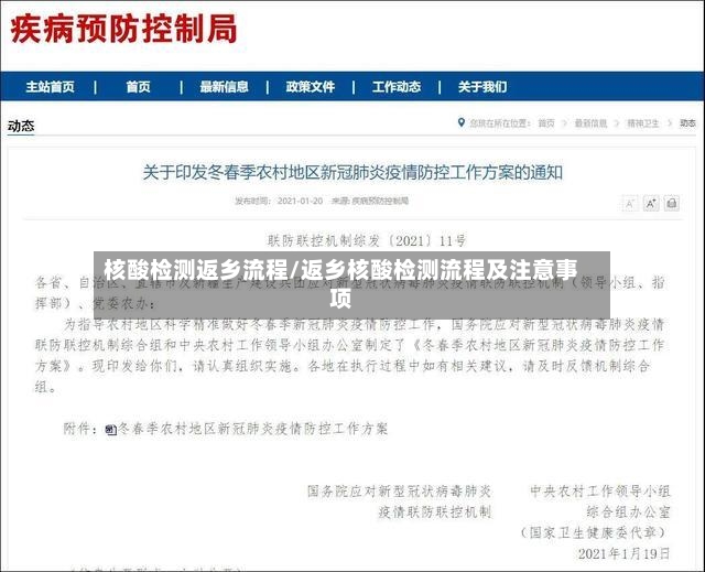 核酸检测返乡流程/返乡核酸检测流程及注意事项-第3张图片