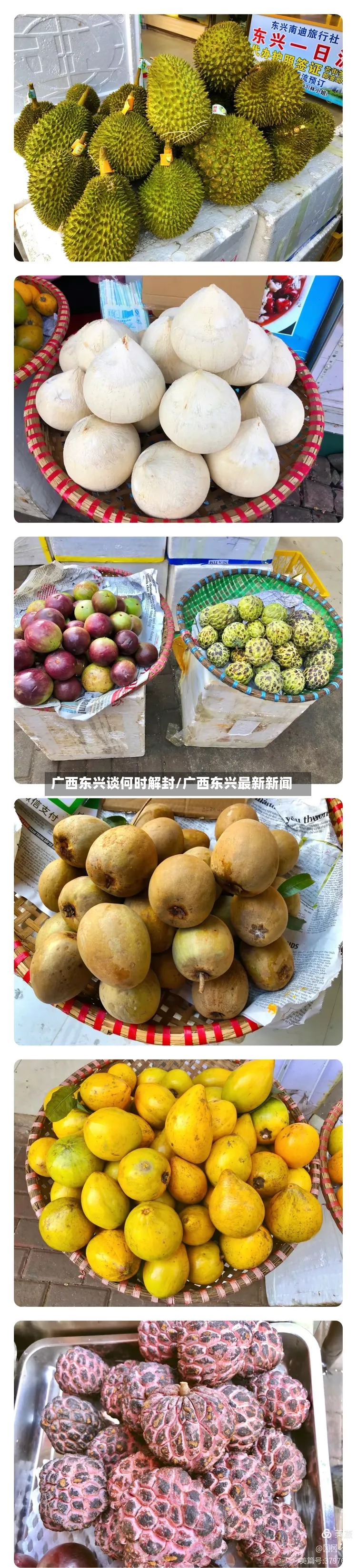 广西东兴谈何时解封/广西东兴最新新闻