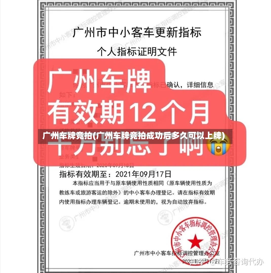 广州车牌竞拍(广州车牌竞拍成功后多久可以上牌)