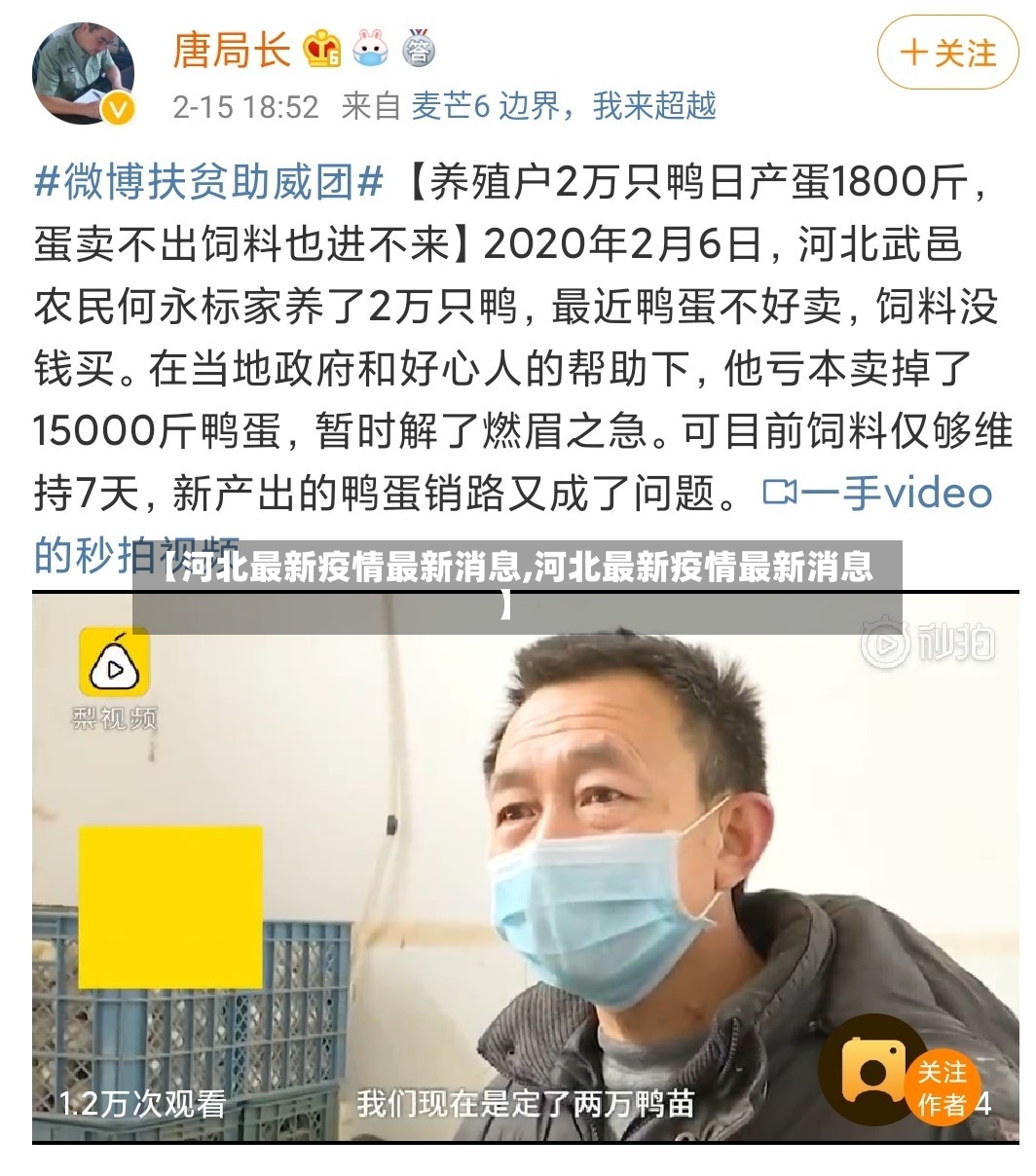 【河北最新疫情最新消息,河北最新疫情最新消息】