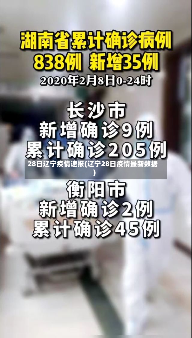 28日辽宁疫情速报(辽宁28日疫情最新数据)