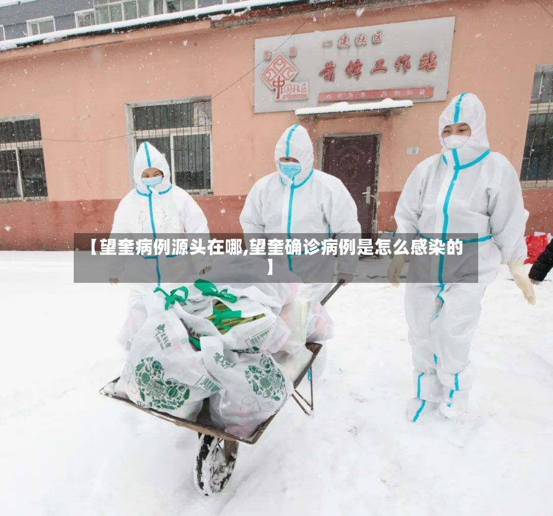 【望奎病例源头在哪,望奎确诊病例是怎么感染的】