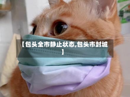 【包头全市静止状态,包头市封城】