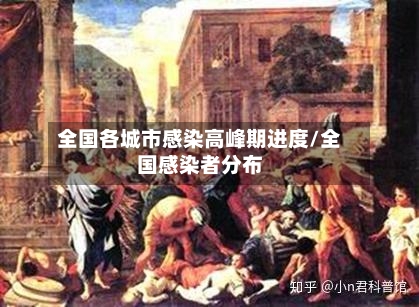 全国各城市感染高峰期进度/全国感染者分布