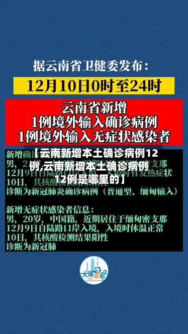 【云南新增本土确诊病例12例,云南新增本土确诊病例12例是哪里的】