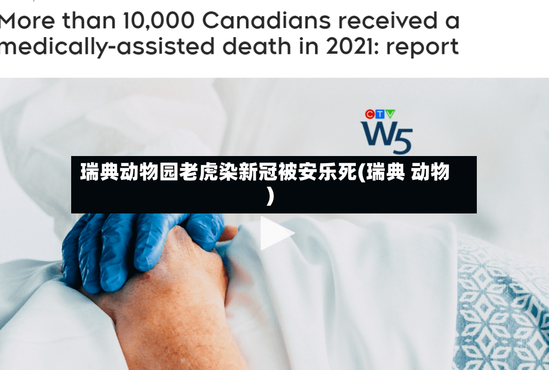 瑞典动物园老虎染新冠被安乐死(瑞典 动物)