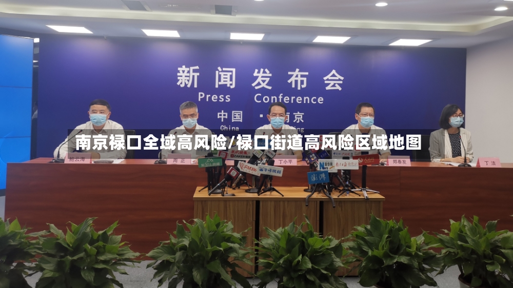 南京禄口全域高风险/禄口街道高风险区域地图