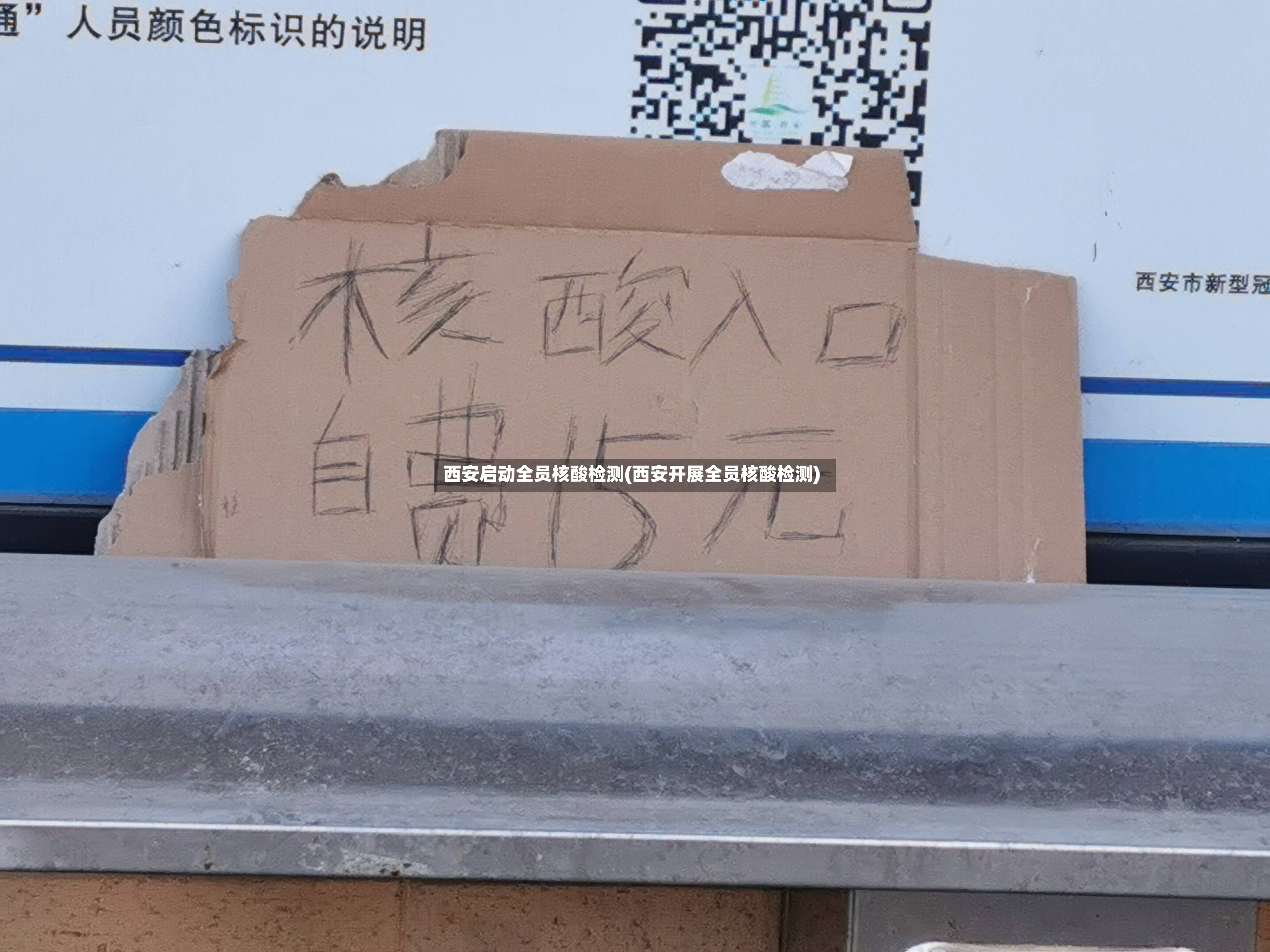 西安启动全员核酸检测(西安开展全员核酸检测)-第2张图片
