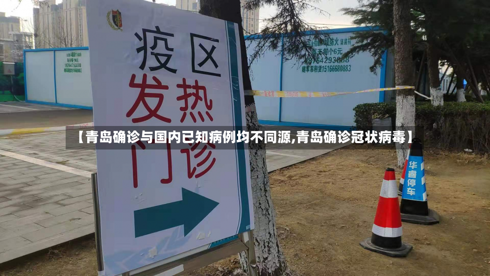 【青岛确诊与国内已知病例均不同源,青岛确诊冠状病毒】