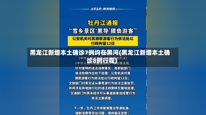 黑龙江新增本土确诊7例均在黑河(黑龙江新增本土确诊8例行程)-第2张图片