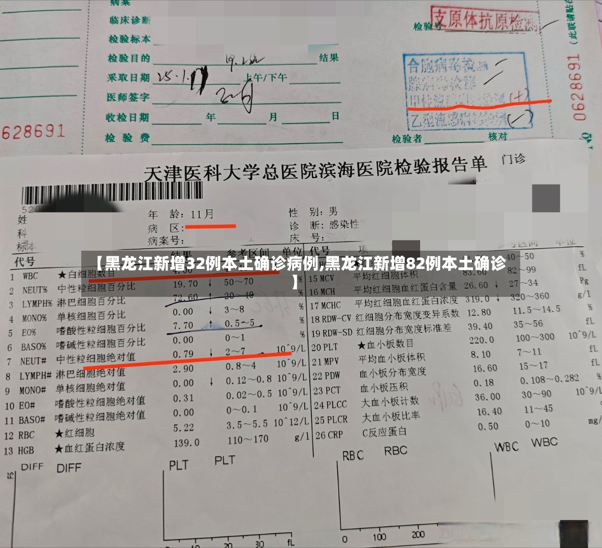 【黑龙江新增32例本土确诊病例,黑龙江新增82例本土确诊】