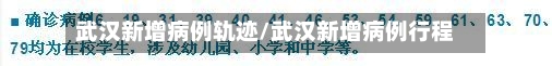 武汉新增病例轨迹/武汉新增病例行程-第2张图片