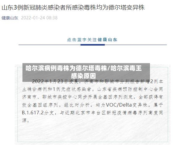 哈尔滨病例毒株为德尔塔毒株/哈尔滨毒王感染原因