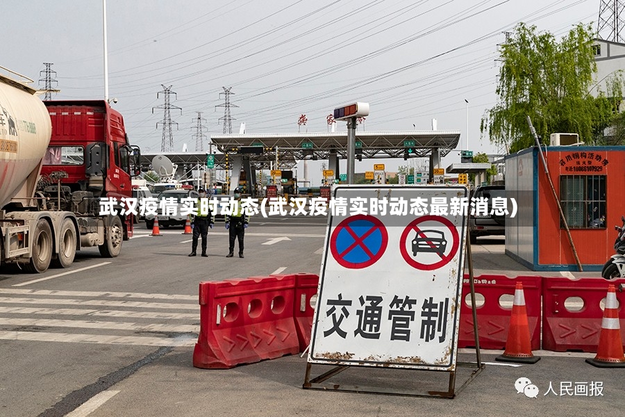 武汉疫情实时动态(武汉疫情实时动态最新消息)
