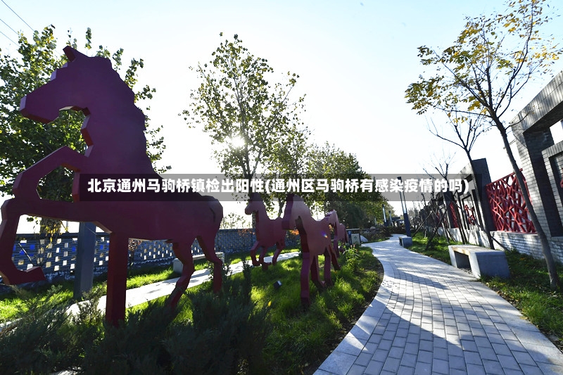 北京通州马驹桥镇检出阳性(通州区马驹桥有感染疫情的吗)-第2张图片