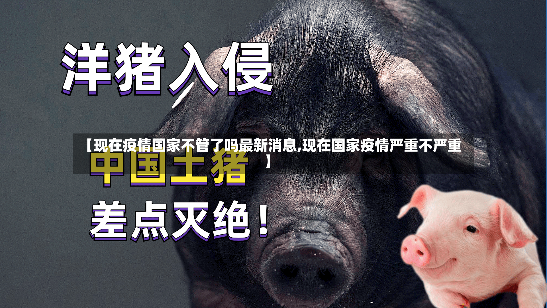 【现在疫情国家不管了吗最新消息,现在国家疫情严重不严重】