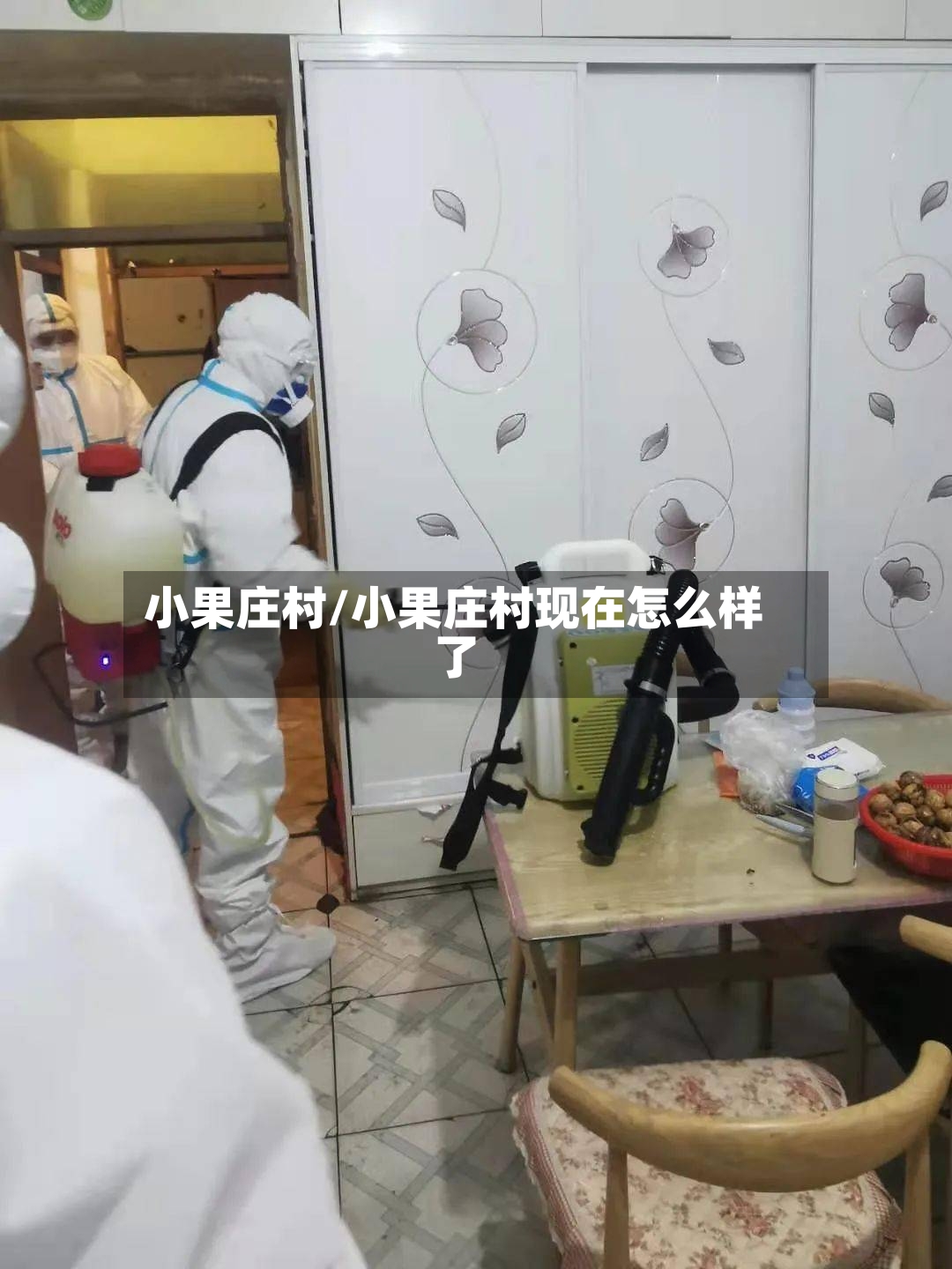 小果庄村/小果庄村现在怎么样了-第3张图片