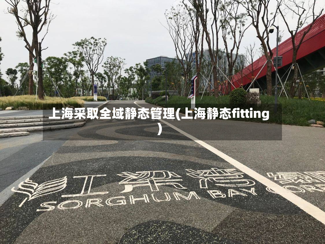 上海采取全域静态管理(上海静态fitting)
