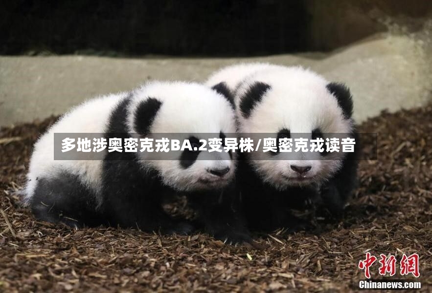 多地涉奥密克戎BA.2变异株/奥密克戎读音-第2张图片