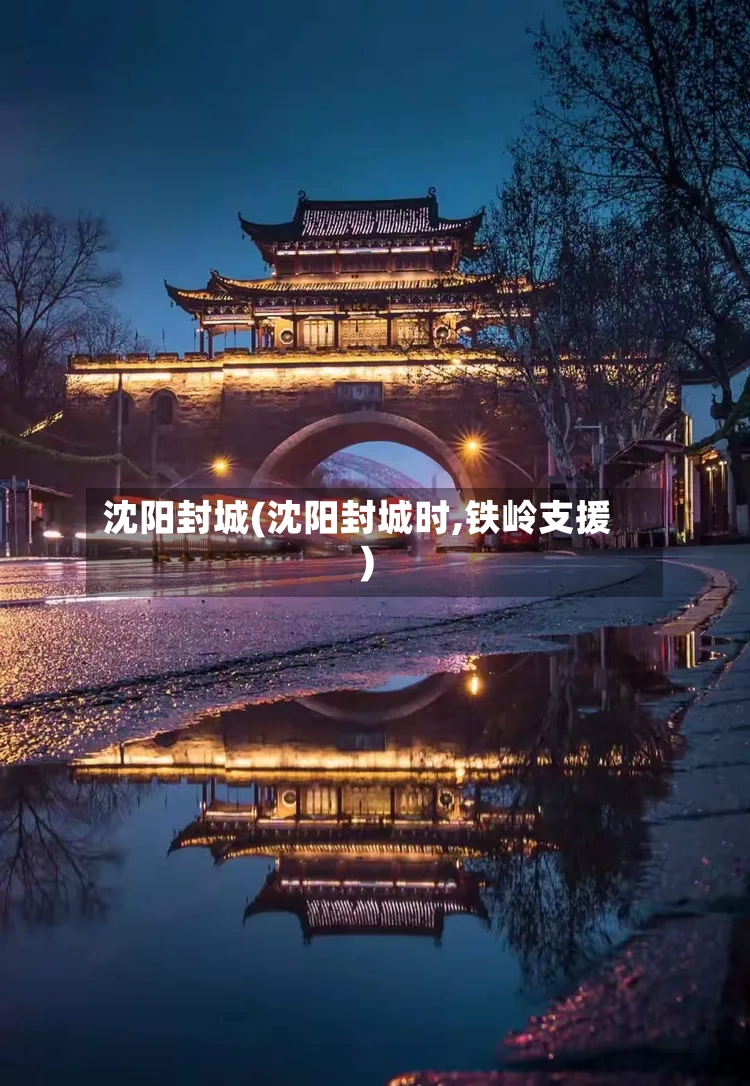 沈阳封城(沈阳封城时,铁岭支援)-第3张图片