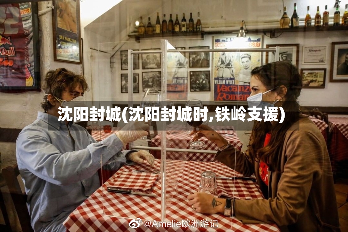 沈阳封城(沈阳封城时,铁岭支援)
