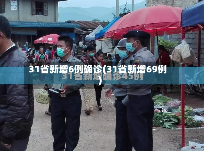 31省新增6例确诊(31省新增69例)
