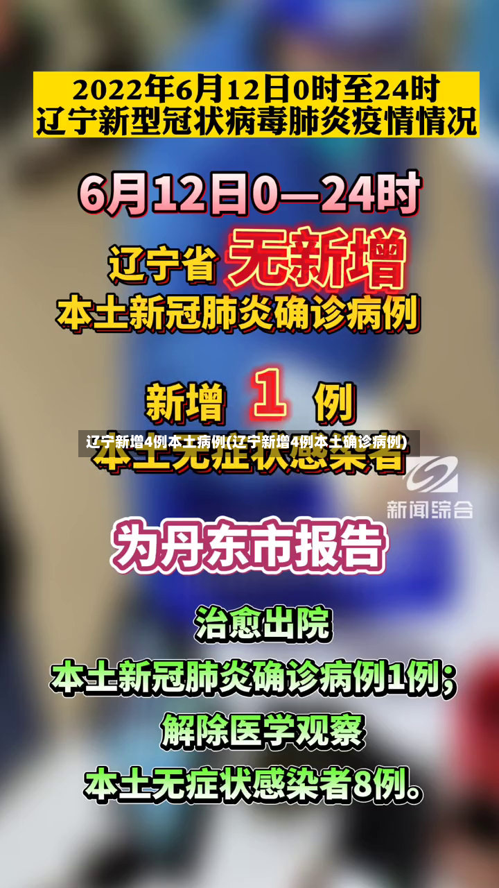 辽宁新增4例本土病例(辽宁新增4例本土确诊病例)-第2张图片