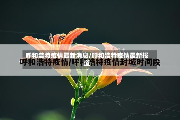 呼和浩特疫情最新消息/呼和浩特疫情最新报道