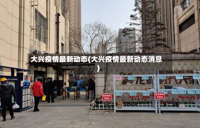 大兴疫情最新动态(大兴疫情最新动态消息)-第2张图片