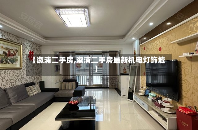 【溆浦二手房,溆浦二手房最新机电灯饰城】