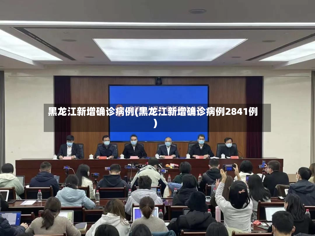 黑龙江新增确诊病例(黑龙江新增确诊病例2841例)-第2张图片