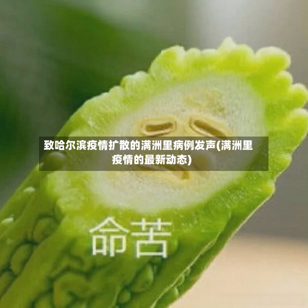 致哈尔滨疫情扩散的满洲里病例发声(满洲里疫情的最新动态)