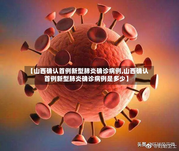 【山西确认首例新型肺炎确诊病例,山西确认首例新型肺炎确诊病例是多少】-第2张图片