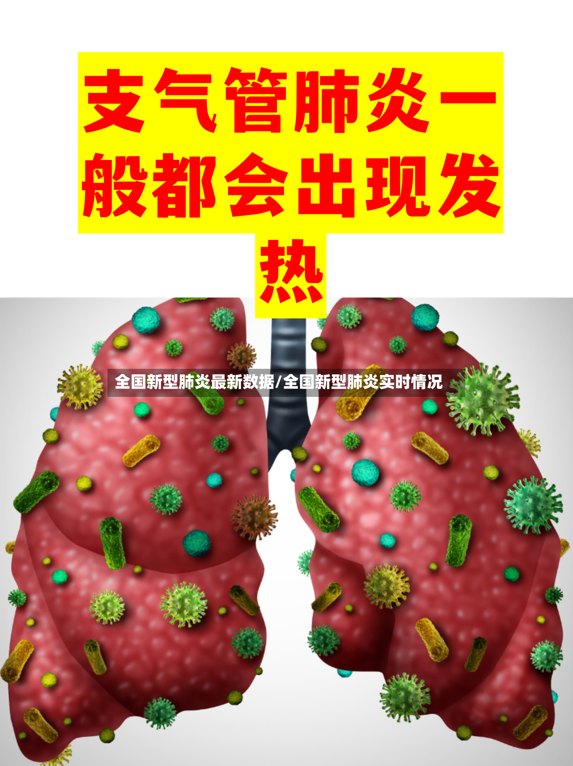 全国新型肺炎最新数据/全国新型肺炎实时情况