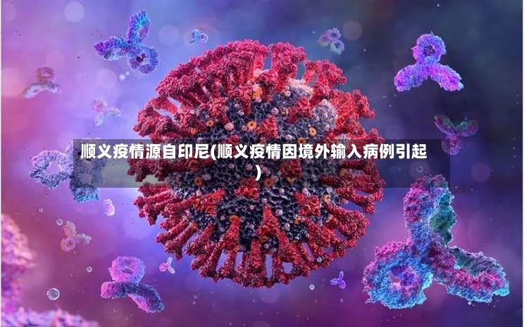 顺义疫情源自印尼(顺义疫情因境外输入病例引起)-第2张图片