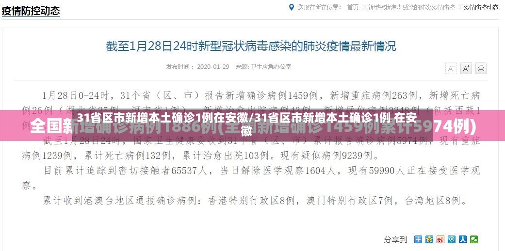 31省区市新增本土确诊1例在安徽/31省区市新增本土确诊1例 在安徽