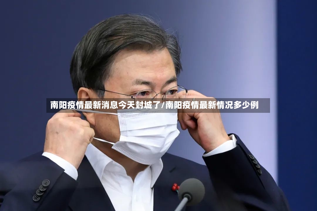 南阳疫情最新消息今天封城了/南阳疫情最新情况多少例-第3张图片