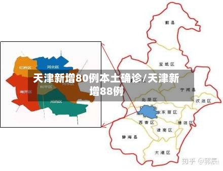 天津新增80例本土确诊/天津新增88例-第2张图片