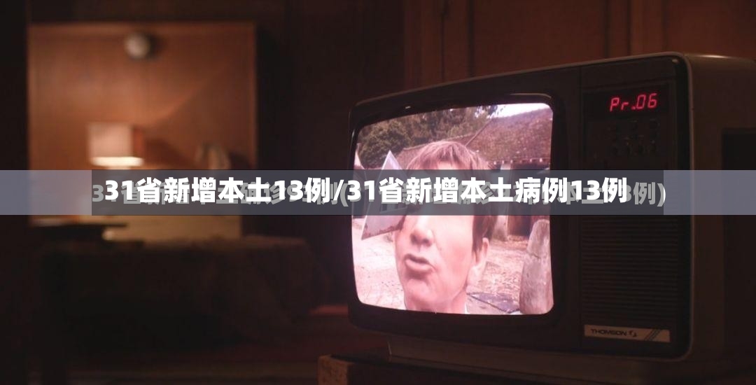 31省新增本土13例/31省新增本土病例13例