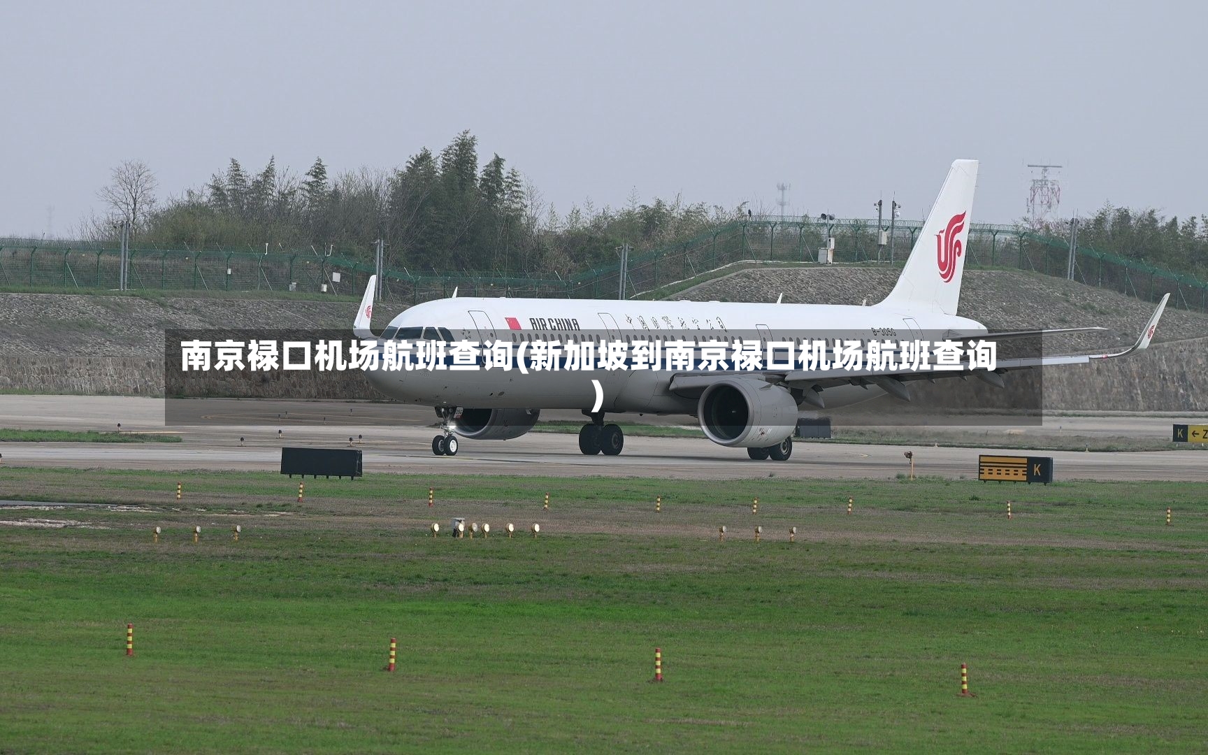 南京禄口机场航班查询(新加坡到南京禄口机场航班查询)