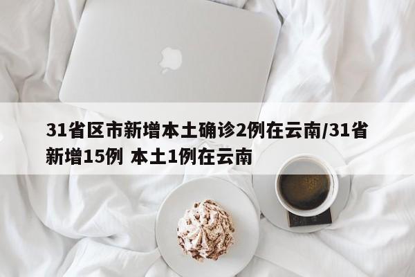 31省区市新增本土确诊2例在云南/31省新增15例 本土1例在云南