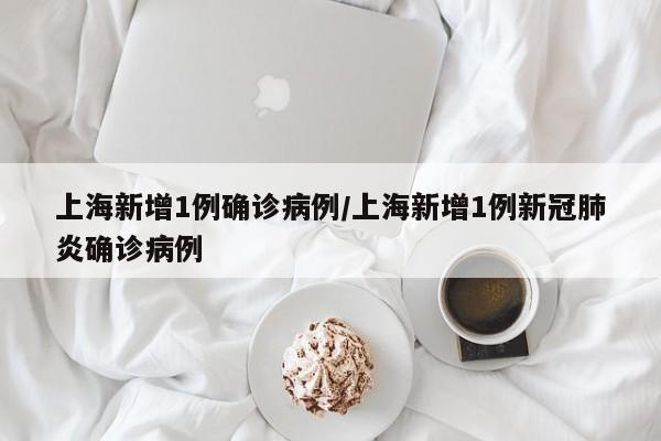 上海新增1例确诊病例/上海新增1例新冠肺炎确诊病例