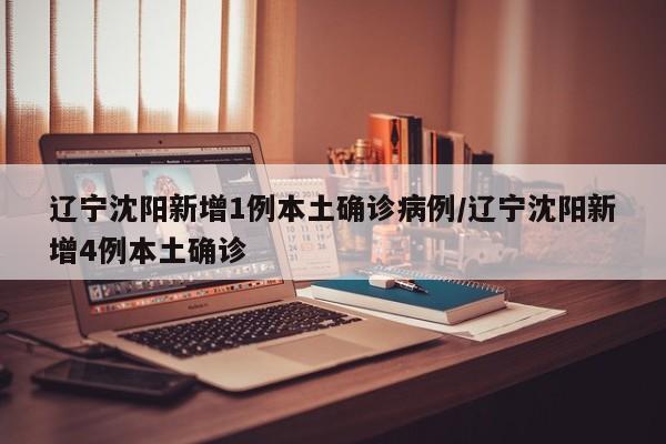 辽宁沈阳新增1例本土确诊病例/辽宁沈阳新增4例本土确诊