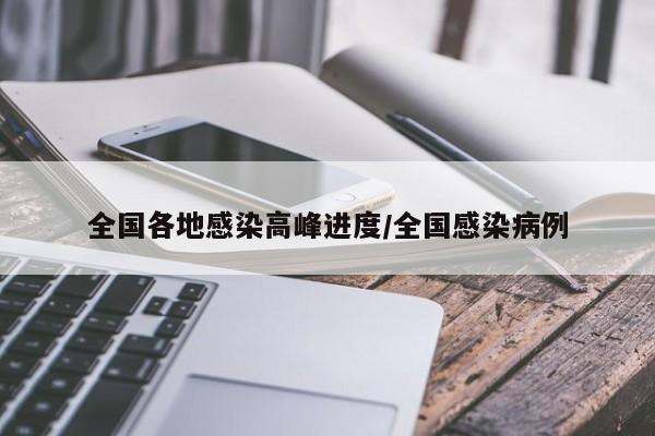 全国各地感染高峰进度/全国感染病例