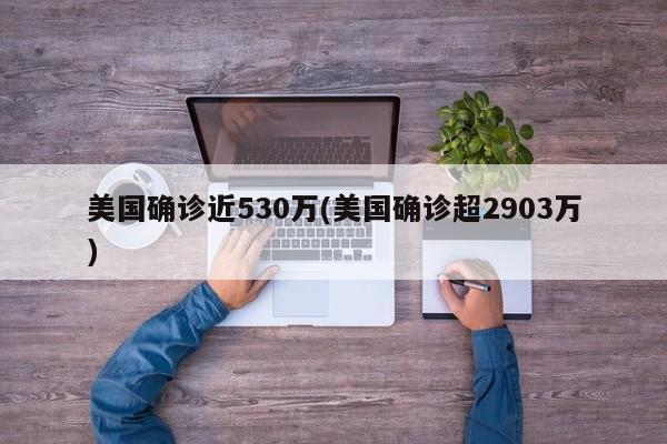 美国确诊近530万(美国确诊超2903万)